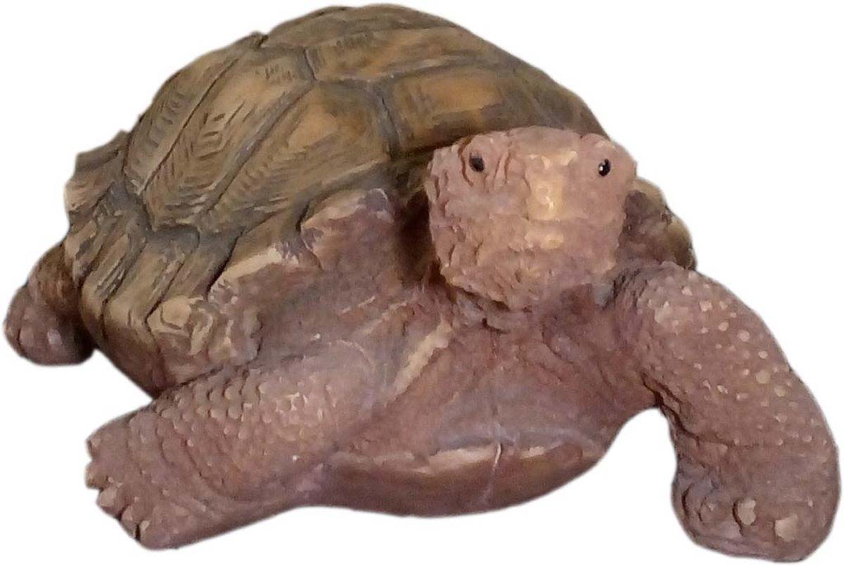 Hand-Crafted Coral-Brown Turtle Planter in Fiber - 11” Big Flower Pot – Rustic-Look Indoor & Outdoor Décor  Buy in Bulk Wholesale