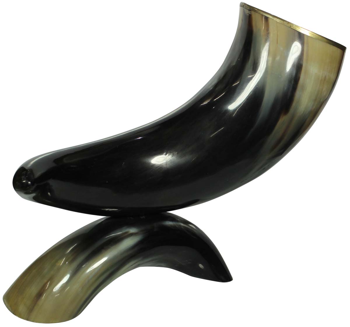 Decorative Showpiece - Natural Animal Horns - Tribal Style Home Decor - Buy in Bulk Wholesale