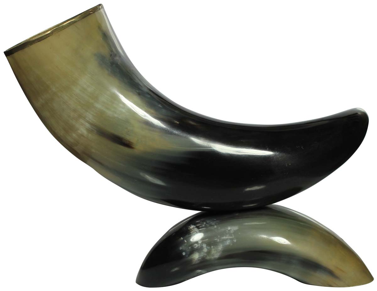 Decorative Showpiece - Natural Animal Horns - Tribal Style Home Decor - Buy in Bulk Wholesale