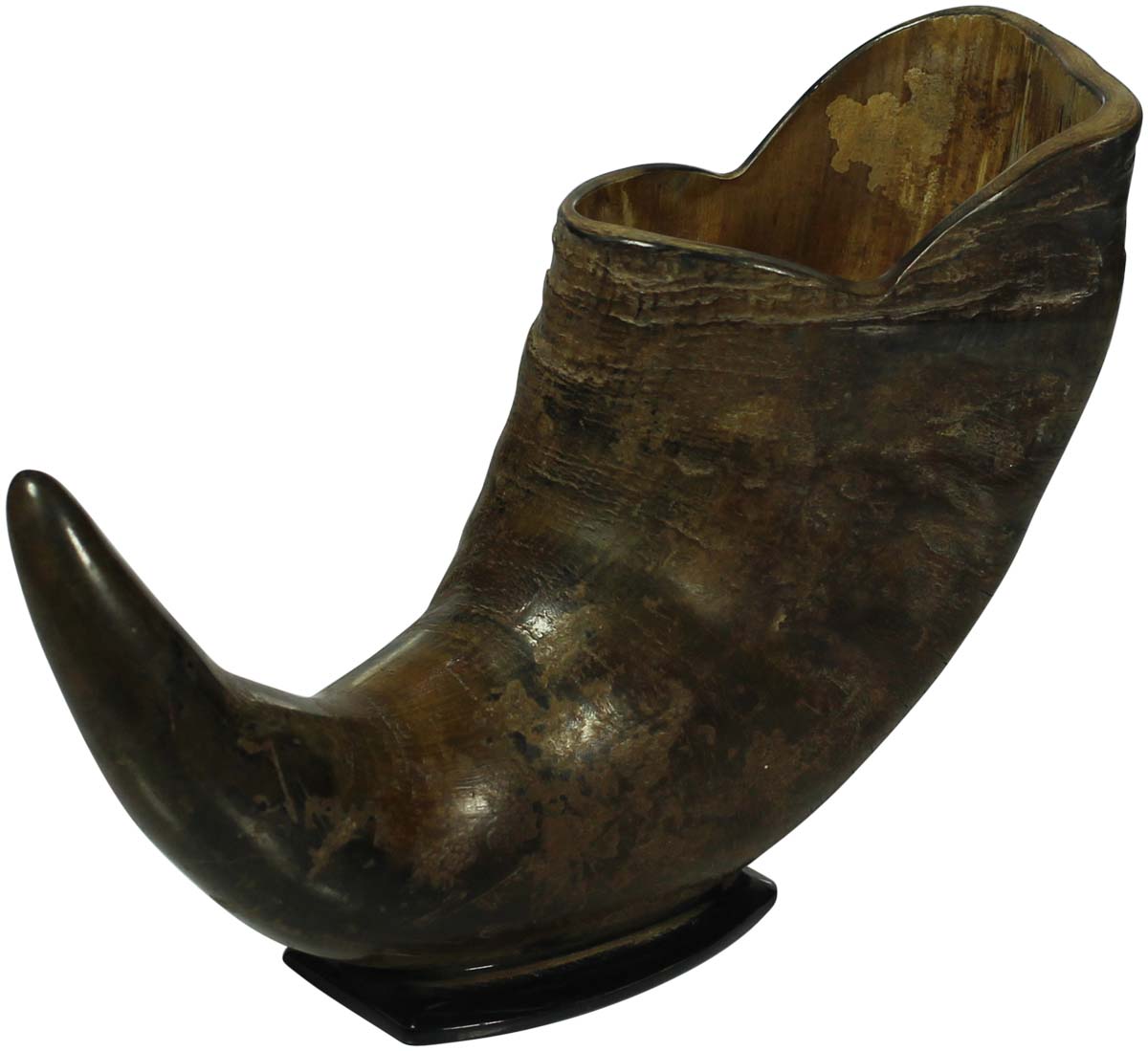 Unique Showpiece in Animal Horn - Interior Decorating Items - Home Decor - Buy in Bulk Wholesale