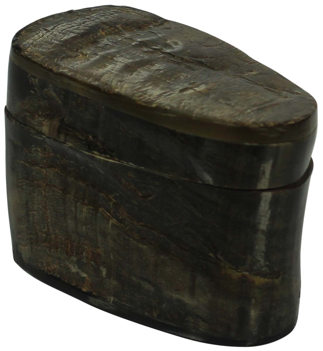 Storage Box in Animal Horn - Abstract Shape - Unique Storage / Keepsake Boxes - Buy in Bulk Wholesale