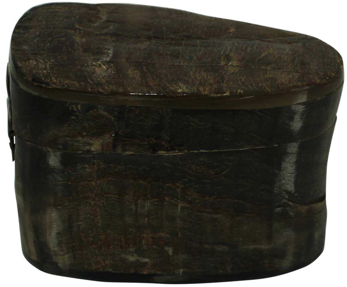 Storage Box in Animal Horn - Abstract Shape - Unique Storage / Keepsake Boxes - Buy in Bulk Wholesale